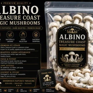 Albino Treasure Coast Magic Mushrooms