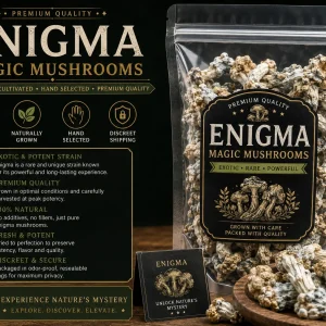 Enigma Magic Mushrooms