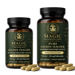 Dose PURE Golden Teacher Microdose Psilocybin Capsules (25 or 60 Capsules)