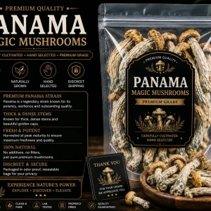 Panama Magic Mushrooms