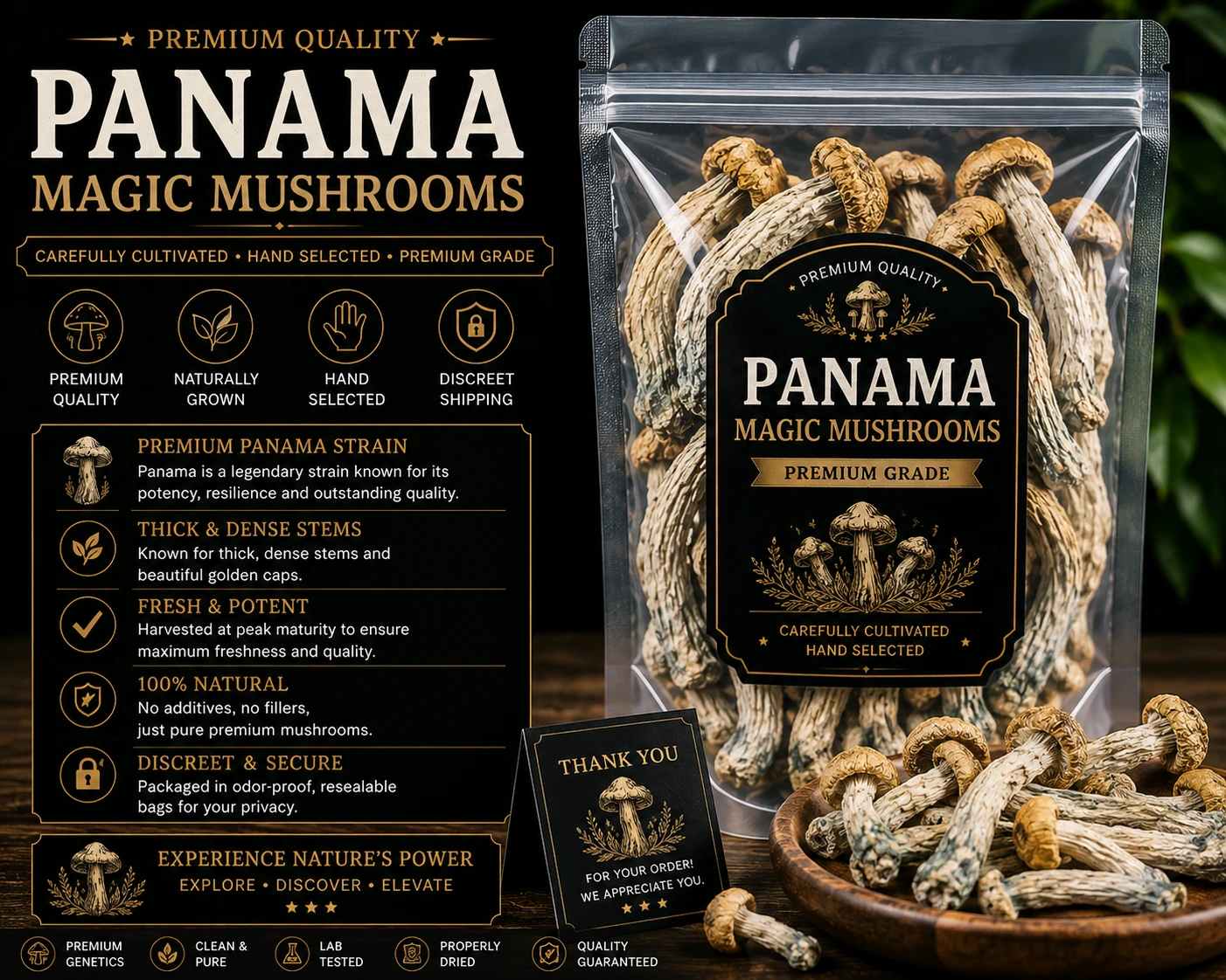 Panama Magic Mushrooms